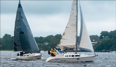 47th Annual Sanderling Regatta @ NBYC